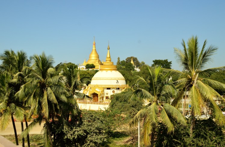 DSC_0706 (2) (Large)